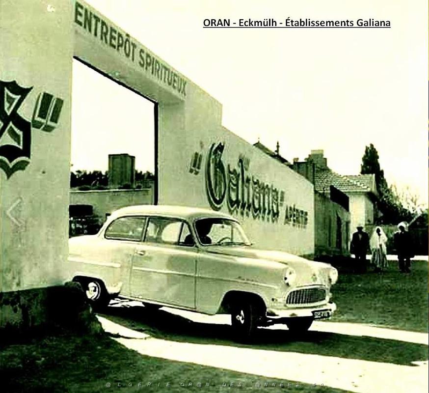 Oran- SDV- 6742-GALIANA.jpg